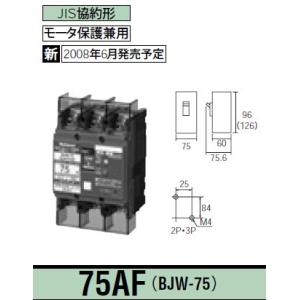 パナソニック 漏電ブレーカ モータ保護兼用 BJW-75型 JIS協約形 2P2E 