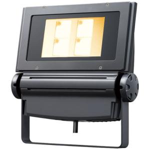 東北〜九州 送料無料！ 岩崎電気 レディオック フラッド ネオ ECF1892N