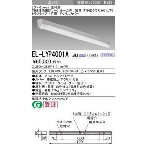 東芝ライテック 東芝ライテック LEDEM13821M 低天井用直付LED非常灯