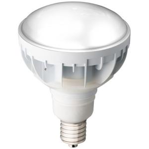 岩崎電気 岩崎 屋外用レフランプ 散光形 RF220V270WH 10個入 300W形