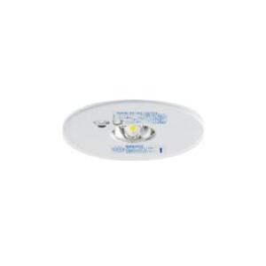 LEDEM30223M LED非常用照明器具 専用形 30形 中天井用（〜8m） 埋込φ100 一般...