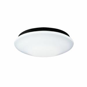 Panasonic（パナソニック） NNN11110K LEDブラケット・浴室灯 業務用