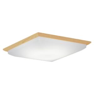 ★未開封 大光電機 LEDシーリングライト YLED-196ESS ～10畳 ② 楽天市場】YLED-196ESS DAIKO 調光・調色タイプ ベーシック