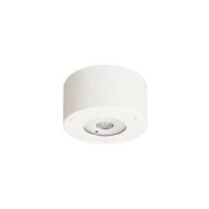 Panasonic（パナソニック） NNFB84105 天井直付型 LED（昼白色） 非常