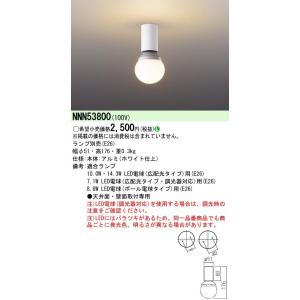 Panasonic 施設照明 テクニカル照明 LED電球シーリングライト 天井面 壁面用 NNN53800｜tss
