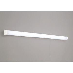 Panasonic（パナソニック） NNFW41835LE9 LDL40X1ウォール