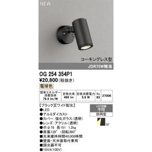 OG254354P1 エクステリア LEDスポ...の詳細画像1