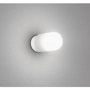 OG254766ND エクステリア LEDポーチライト 白熱灯器具60W相当 昼白色 非調光 防雨・防湿型 オーデリック 照明器具 壁面・天井面取付兼用｜tss