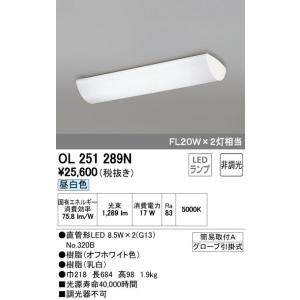 オーデリック 照明器具 LEDキッチンライト 昼白色 非調光 FL20W×2灯相当 OL251289N