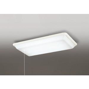 法人様限定】パナソニック NNF41886J LA1 LEDベッドライト 病院用