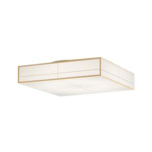 ODELIC（オーデリック） オーデリック照明器具 ペンダント OP052286LBR