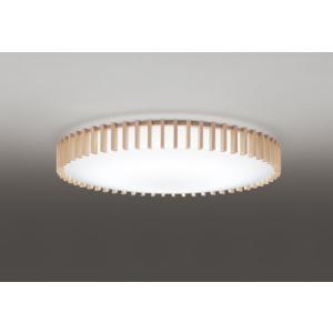 TOSHIBA（東芝） LEM-012009(W)-S1（LEM012009WS1）一般用 C級 高輝度