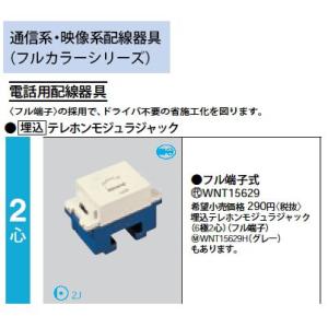 Panasonic（パナソニック） WN3025SW 通線チップ(ブッシング付