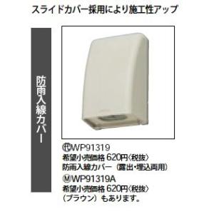 Panasonic（パナソニック） WP91319A 防雨入線カバー(露出・埋込両用