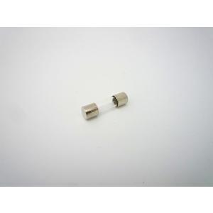 ミニガラス管ヒューズ 250V 2A 冨士端子工業 FGMB-A φ5.2×20mm