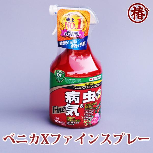 ベニカXファインスプレー 内容量1000ml (１L) 園芸用殺虫・殺菌剤 住友化学園芸 【椿 つば...