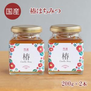 日本蜜蜂 蜂蜜 410gと無添加マーマレード400g 【2025年秋採蜜・生産】 2025年宮崎産 「南国青島 春の花蜜」 百花蜜ハチミツ 160g 
