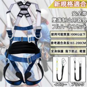 安全帯 新規格適合 フルハーネスセット 2022 墜落制止用器具