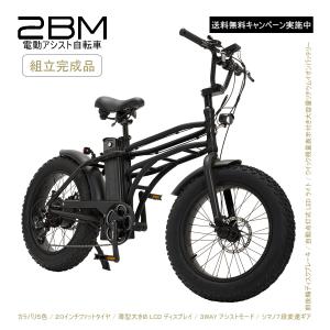 2BM ツービーエム 電動アシスト自転車 おしゃれ 街乗り 半