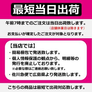 安全靴 スニーカー 面ファスナー メンズ レデ...の詳細画像2