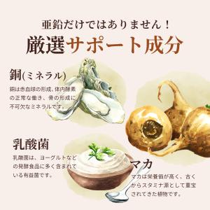 亜鉛 15mg (240日分) サプリメント ...の詳細画像3