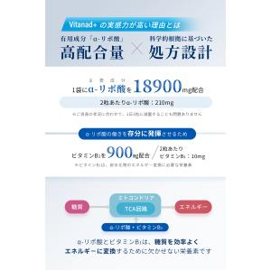 αリポ酸 18900mg (90日分) サプリ...の詳細画像2
