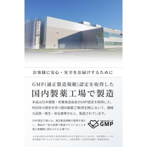 αリポ酸 18900mg (90日分) サプリ...の詳細画像3