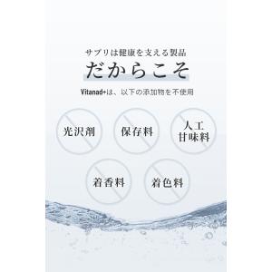 αリポ酸 18900mg (90日分) サプリ...の詳細画像4