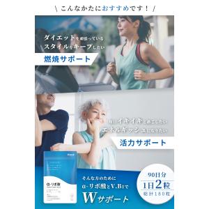 αリポ酸 18900mg (90日分) サプリ...の詳細画像5