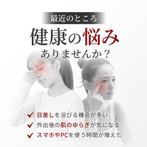 アスタキサンチン 600mg + ルテイン 1...の詳細画像1