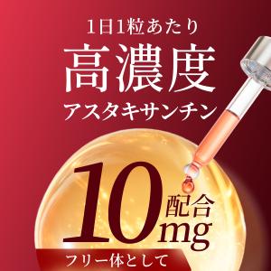 アスタキサンチン 600mg + ルテイン 1...の詳細画像3