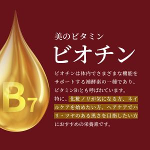 ビオチン 持続型 180日分 1袋ビオチン90...の詳細画像4