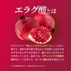 エラグ酸 16800mg (120日分) 1日...の詳細画像3