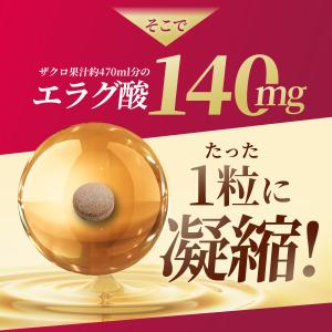 エラグ酸 16800mg (120日分) 1日...の詳細画像4