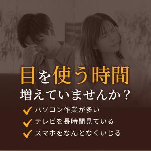 ルテイン サプリ 65mg (90日分) 目 ...の詳細画像3