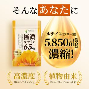 ルテイン サプリ 65mg (90日分) 目 ...の詳細画像4