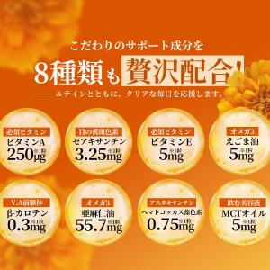 ルテイン サプリ 65mg (90日分) 目 ...の詳細画像5