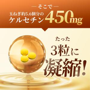 ケルセチン 27000mg(60日分) 国産 ...の詳細画像3