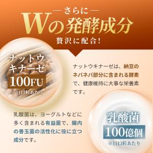ケルセチン 27000mg(60日分) 国産 ...の詳細画像4