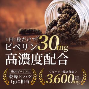 ヒハツ サプリ 120日分 (1袋 ピペリン ...の詳細画像3