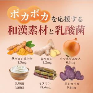 ヒハツ サプリ 120日分 (1袋 ピペリン ...の詳細画像4