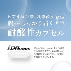 ヒアルロン酸 9600mg サプリ 美容 エイ...の詳細画像5