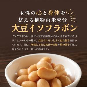 大豆イソフラボン (120日分) イソフラボン...の詳細画像1