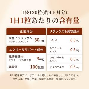 大豆イソフラボン (120日分) イソフラボン...の詳細画像2