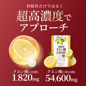 クエン酸 54,600mg サプリ 持続型処方...の詳細画像4