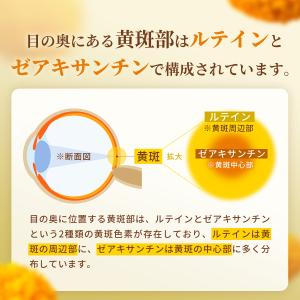 ルテイン サプリ 65mg (60日分) ゼア...の詳細画像2