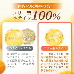 ルテイン サプリ 65mg (60日分) ゼア...の詳細画像5