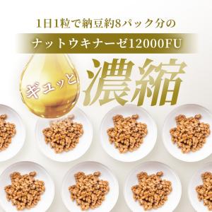 ナットウキナーゼ 12000FU/日(1日1粒...の詳細画像1