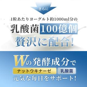 ナットウキナーゼ 12000FU/日(1日1粒...の詳細画像2