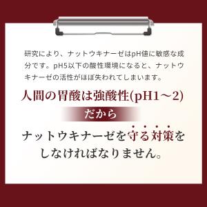 ナットウキナーゼ 12000FU/日(1日1粒...の詳細画像4